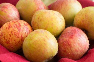 Apples grown in Piedmont, CA