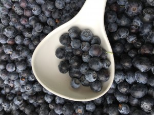 Hidden Star Orchards' blueberries at Grand Lake Farmers Market in Oakland, CA