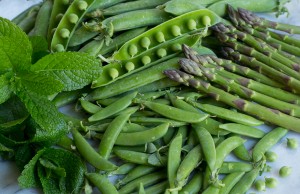 Spring Vegetables